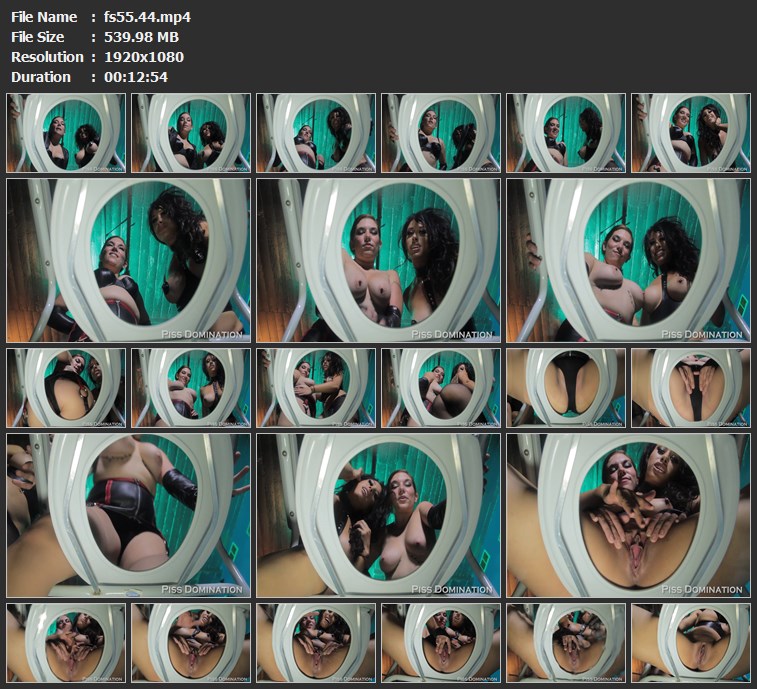 fs55.44.mp4 toilet slave